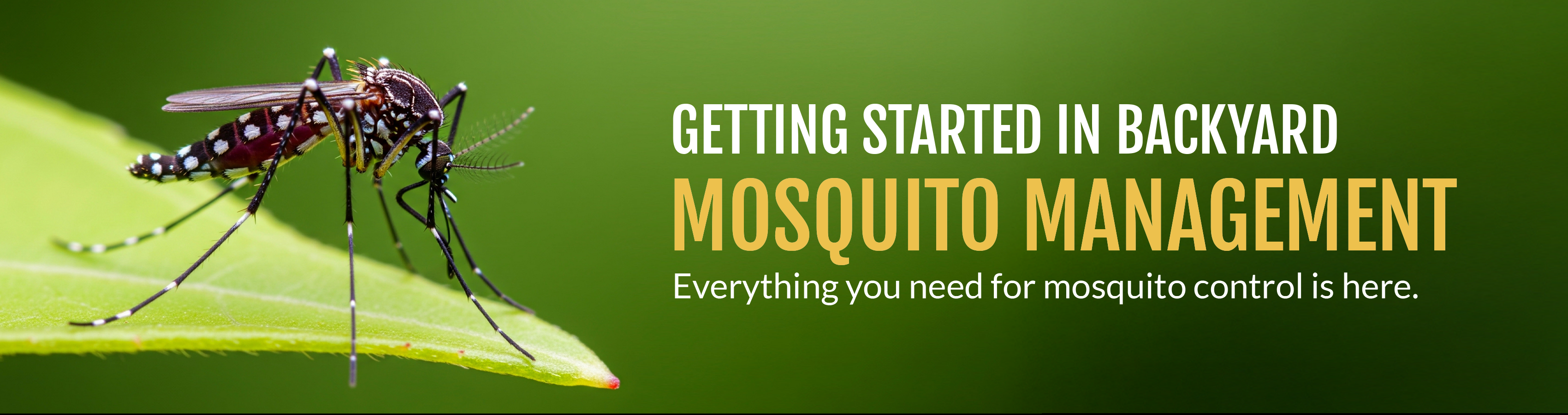 Backyard Mosquito Management - Build a Profitable Program with Veseris